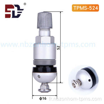 Remplacement de la soupape TPMS TPMS 524